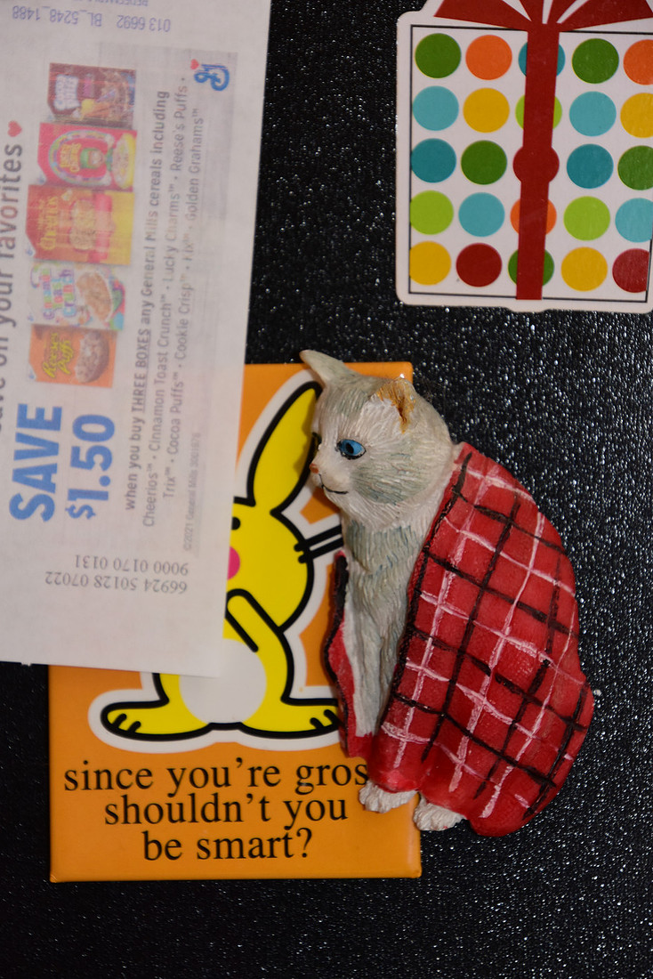 three magnets on a black refrigerator. One magnet is a multicolored gift box. One is from Happy Bunny. The last is a cat wrapped in a red plaid blanket.