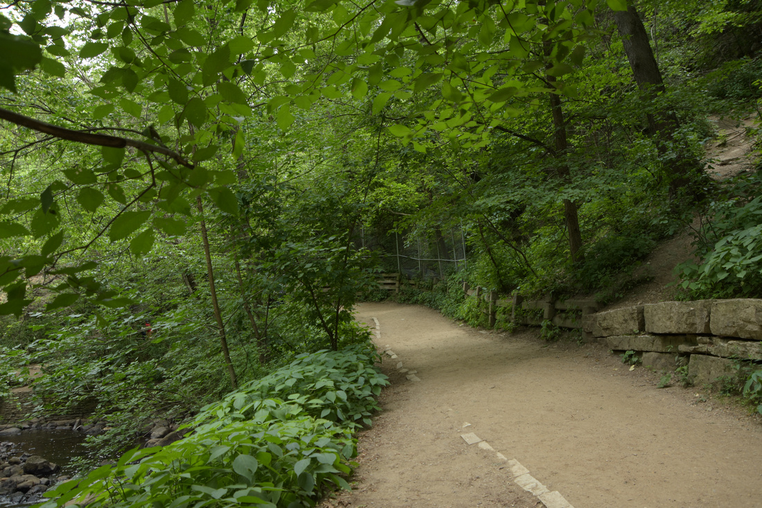 level dirt trail in Minnehaha Park